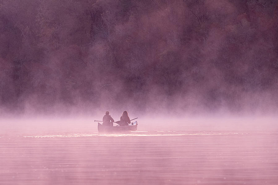 Morning Fog In Caddo Lake Photograph by Yimei Sun