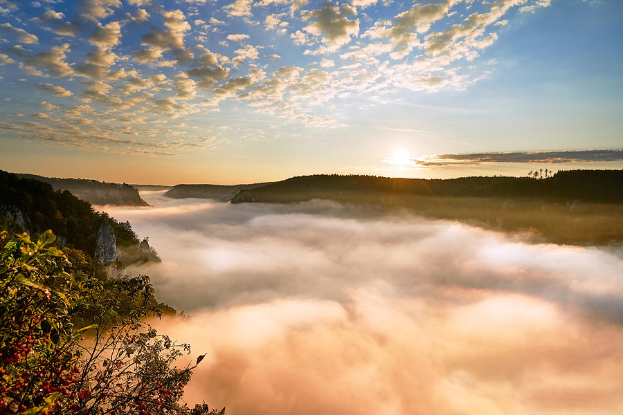 Fall Photograph - Morning Fog In Danube Valley by Ulrike Leinemann