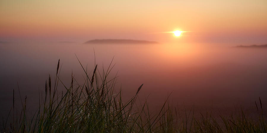 Morning Fog In The Dunes Photograph by Bodo Balzer