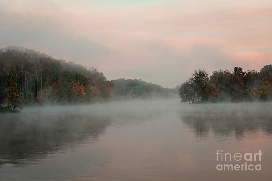 Morning fog Photograph by Izet Kapetanovic