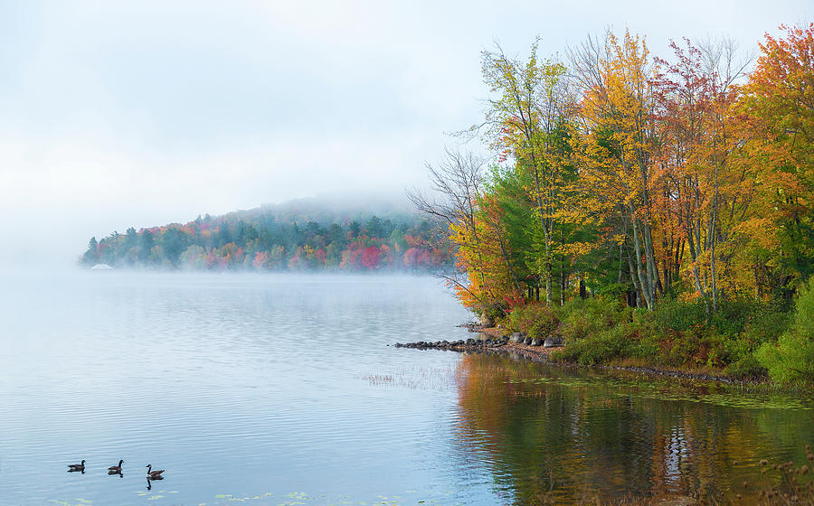 Fall Photograph - Morning Fog On Indian Lake by Mark Papke