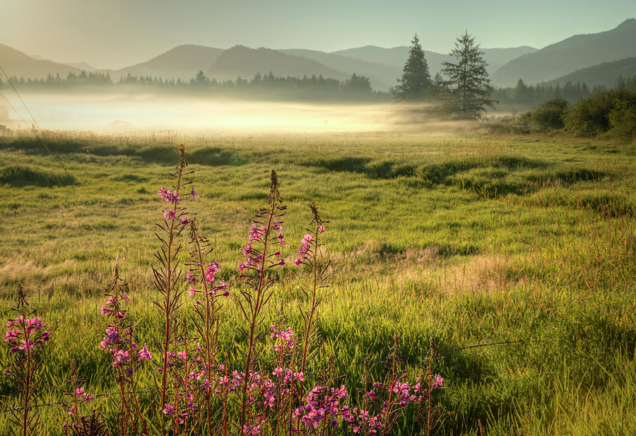 Nature Photograph - Morning Fog on the Meadows 0931 by Kristina Rinell