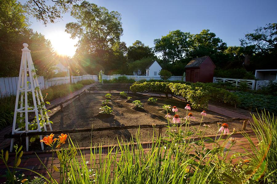 Morning Garden in June by Rachel Morrison Morning Garden in June by Rachel Morrison