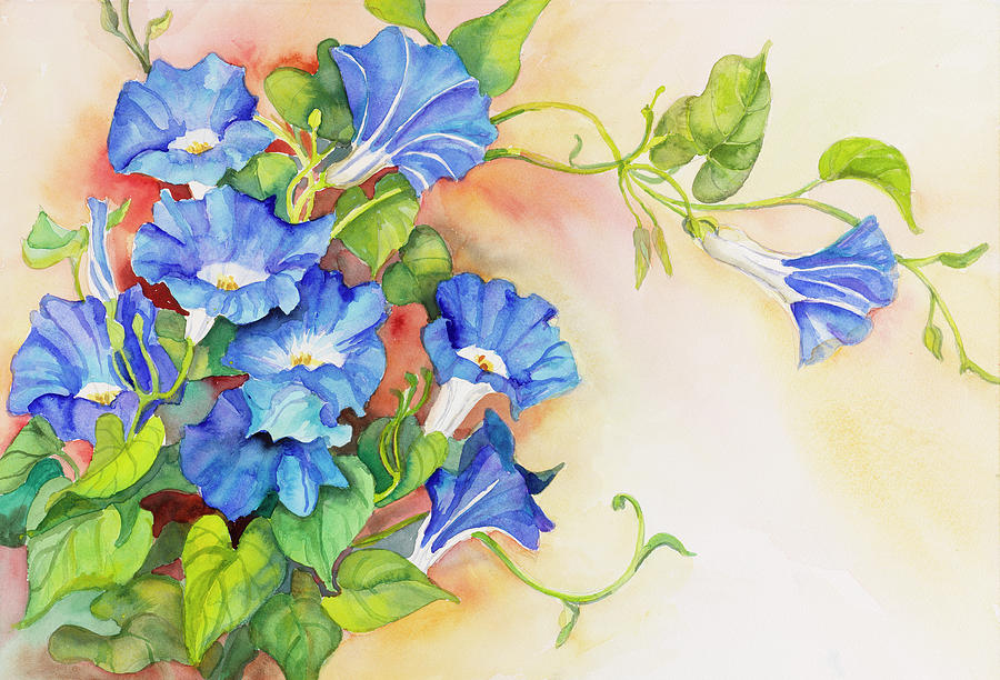 Flower Painting - Morning Gloria Vine Stretching by Joanne Porter