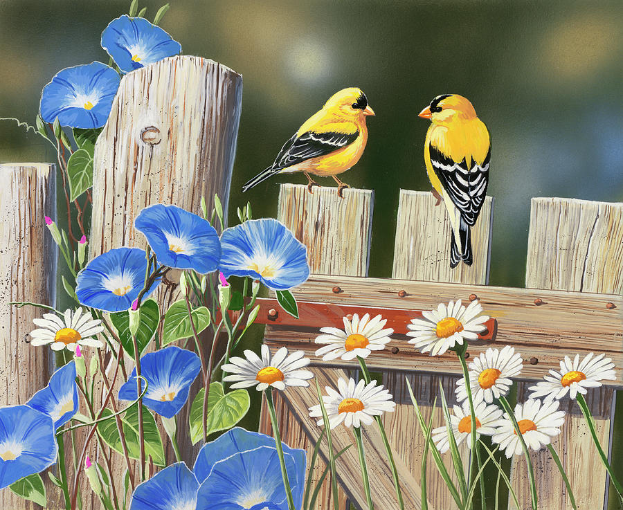 Finches Painting - Morning Glories And Finches by William Vanderdasson