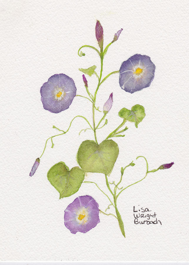 Morning Glories Painting by Lisa Burbach