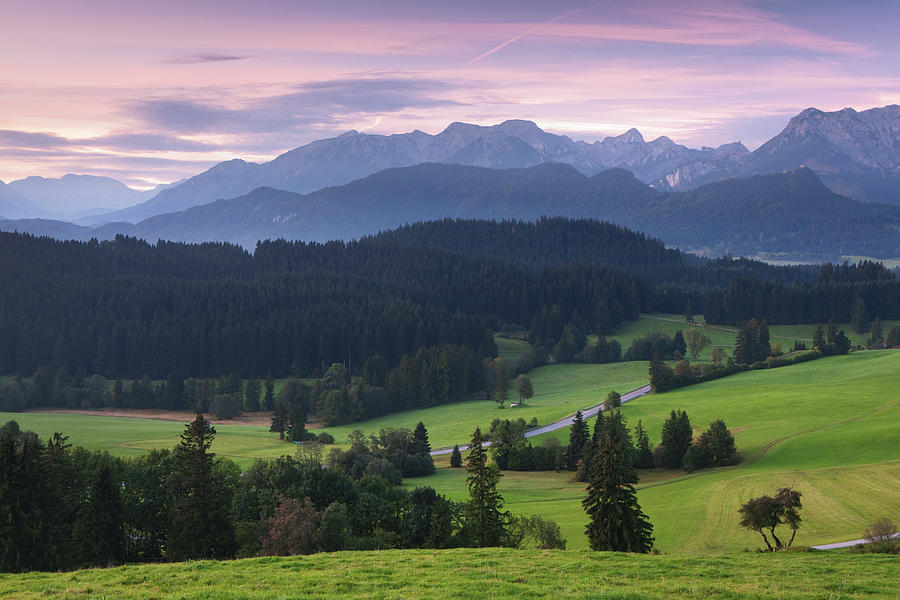 Morning Glory In Bavaria Germany Photograph by Wingmar