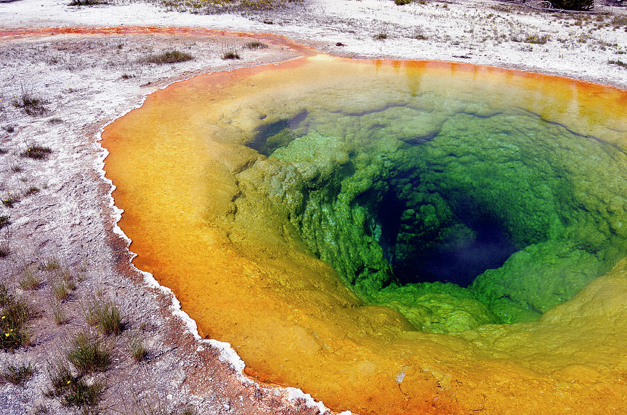 Morning Glory Pool, Hot Spring Photograph by Mableen