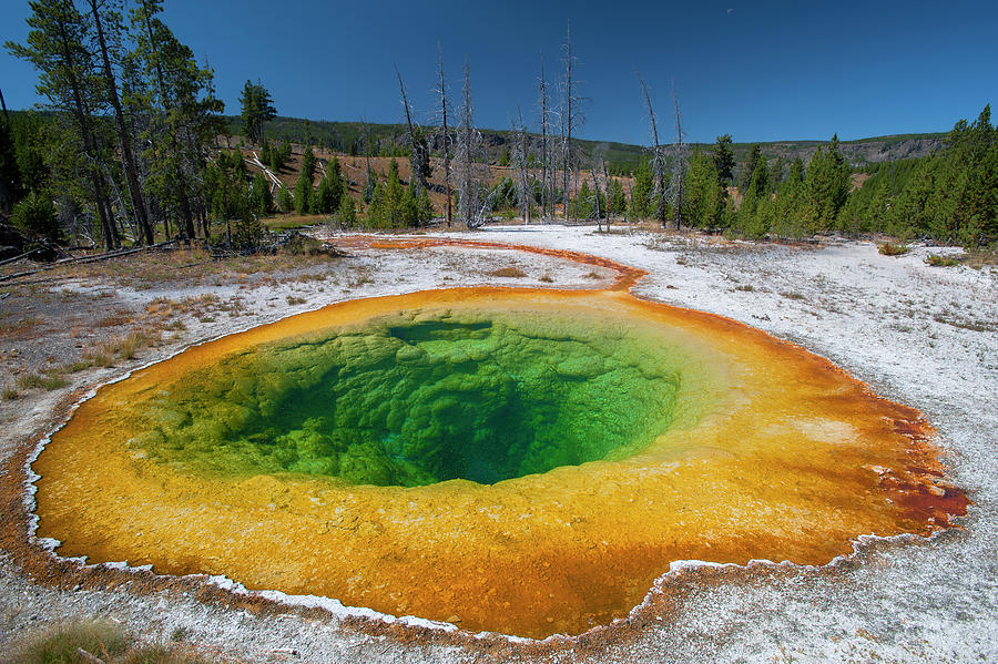 Morning Glory Pool In Yellowstone Photograph by Jeff Foott