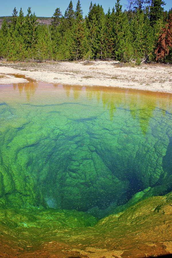 Morning Glory Pool Photograph by Tony Mignot. Morning Glory Pool Photograph by Tony Mignot.