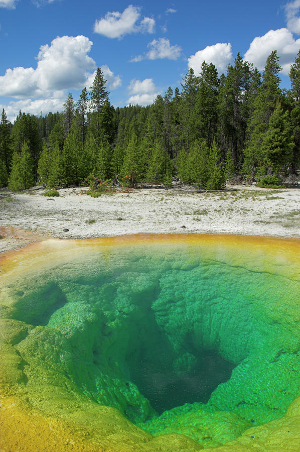 Morning Glory Pool, Upper Geyser Basin Photograph by Neale Clark ...