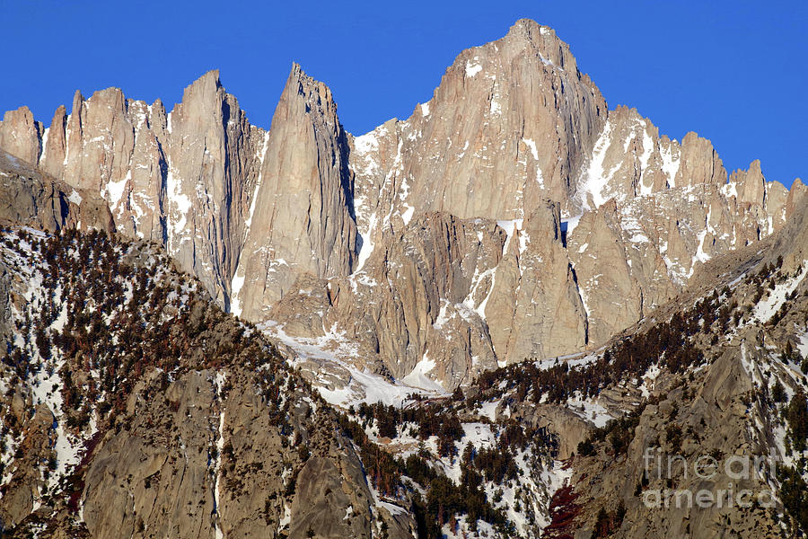MORNING GRANDEUR, MOUNT WHITNEY by Douglas Taylor MORNING GRANDEUR, MOUNT WHITNEY by Douglas Taylor