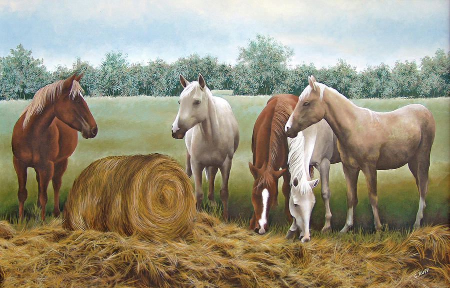 Animal Painting - Morning Hay by Carol J Rupp