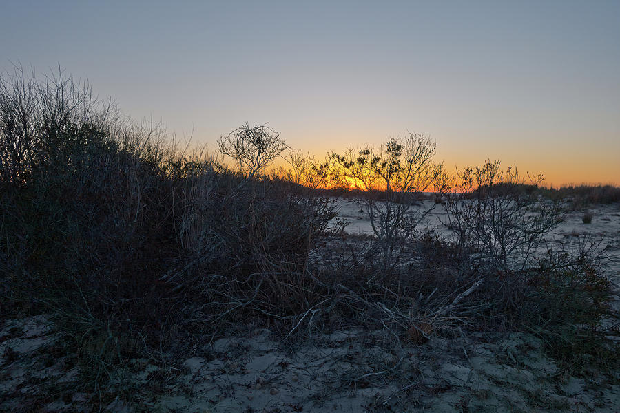 Morning Horizon Photograph by Jim Ford