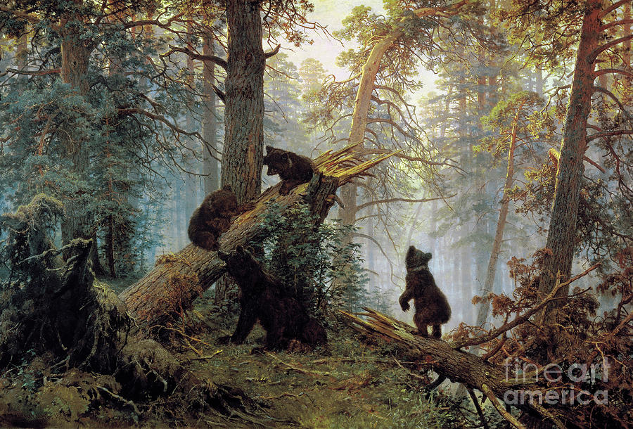 Morning In A Pinewood, 1889. Artist Drawing by Heritage Images