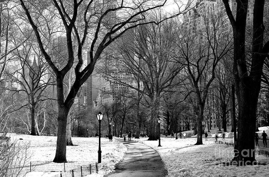 Morning in Central Park New York City Photograph by John Rizzuto