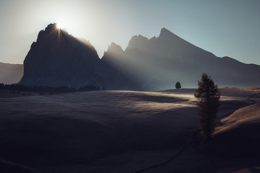 Morning In Dolomites Photograph by Rostovskiy Anton
