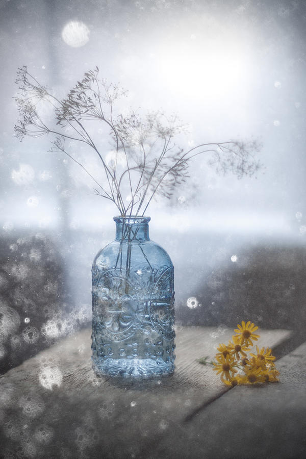Bottle Photograph - Morning In The Country by Vadim Fedotov (vadius)