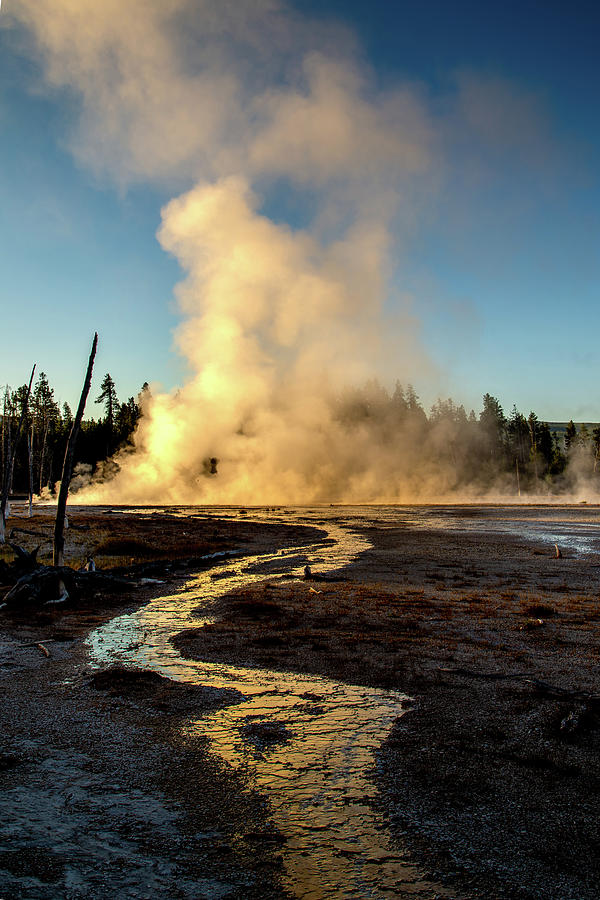 Morning in Yellowstone Photograph by Bryan Moore