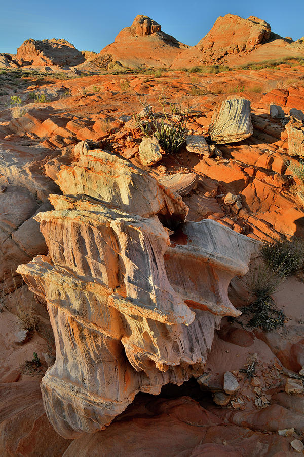 Morning Light on Beautiful Sandstone Form in Valley of Fire Photograph by Ray Mathis