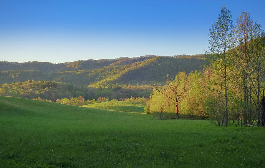 Morning Light On Cades Cove Tennessee by Dan Sproul Morning Light On Cades Cove Tennessee by Dan Sproul