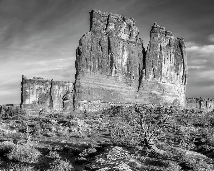 Morning Light on the Organ, Arches National Park bw Photograph by Jerry Fornarotto