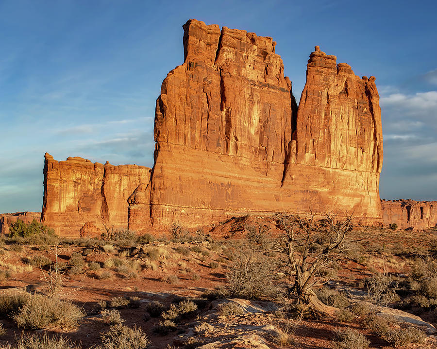Morning Light on the Organ, Arches National Park Photograph by Jerry Fornarotto