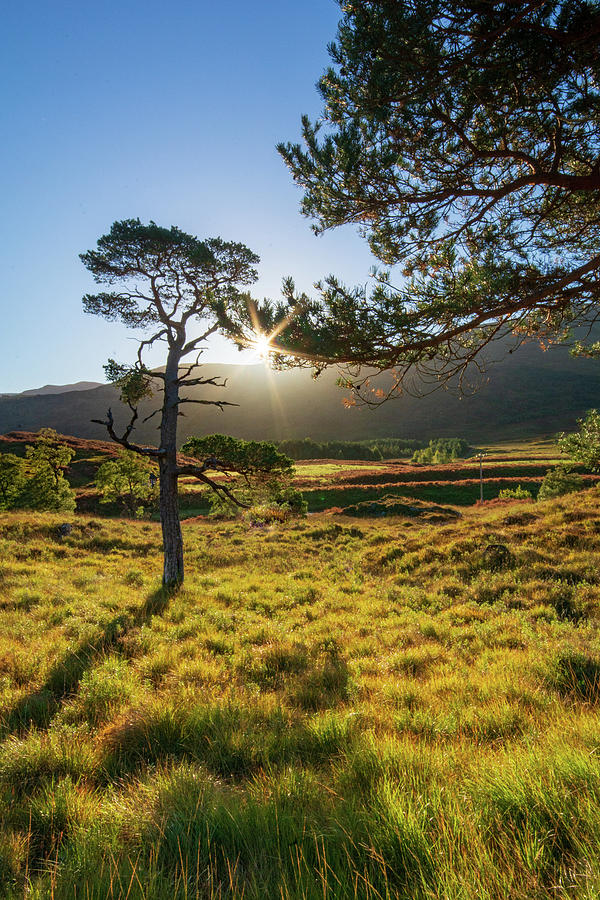 Loch Photograph - Morning Light by Smart Aviation Loch Photograph - Morning Light by Smart Aviation