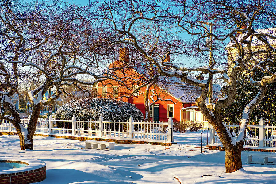 Morning Light, Winter Garden. Photograph by Jeff Sinon