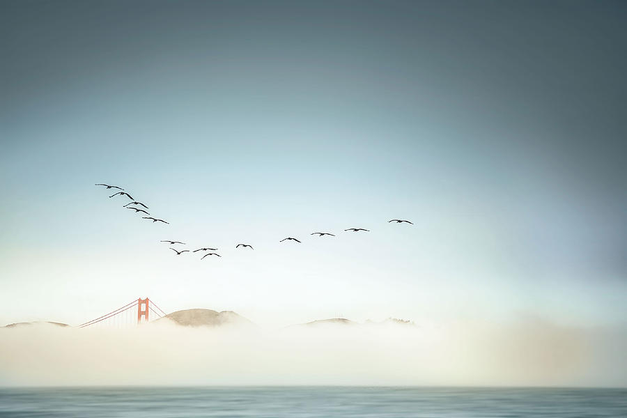 Morning Low Fog In Golden Gate Bridge Photograph by Jamie Z. Chan
