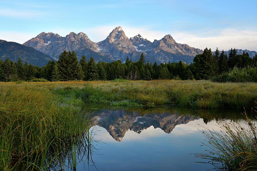 Morning Glow At Blacktail Ponds Photograph by Michael Morse - Fine Art ...