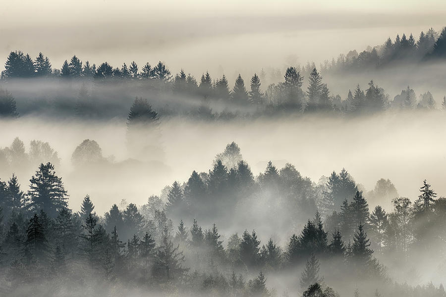 Morning Mist Above Kochelmoor by Martin Ruegner