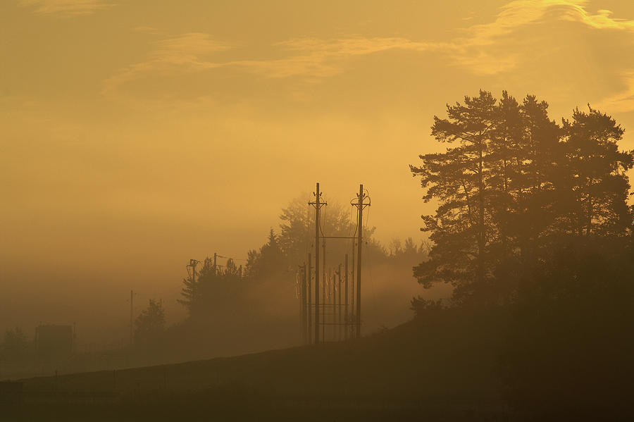 Landscape Photograph - Morning Mist. by Allan Wallberg