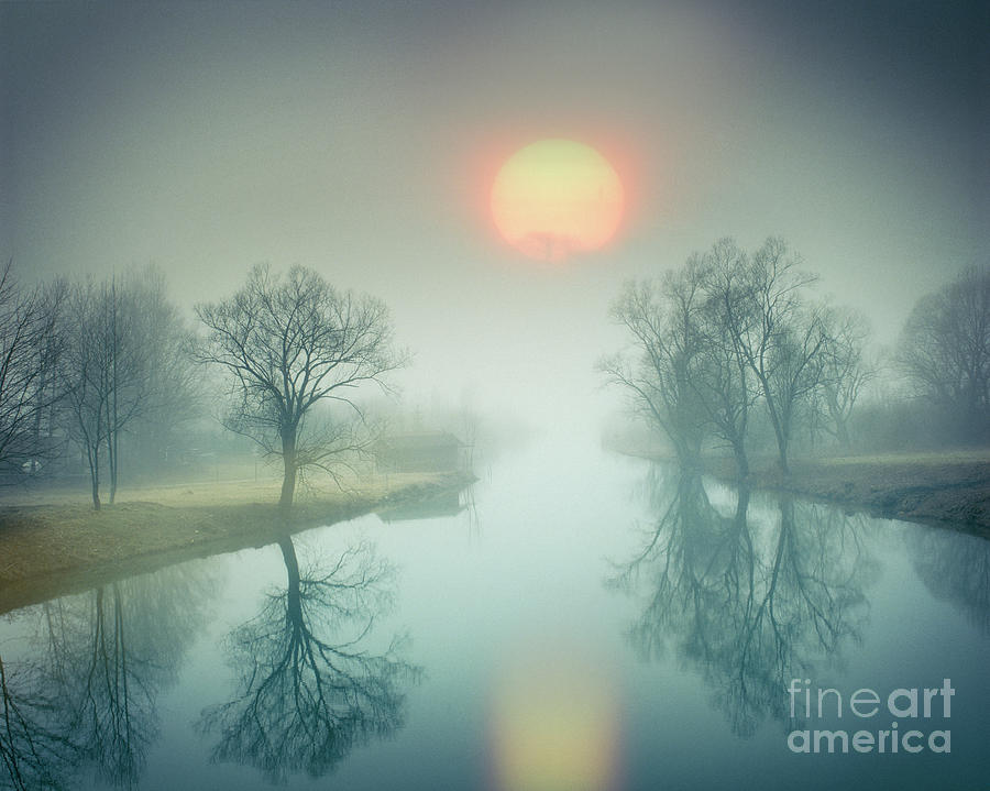 Morning Mist Photograph by Edmund Nagele FRPS