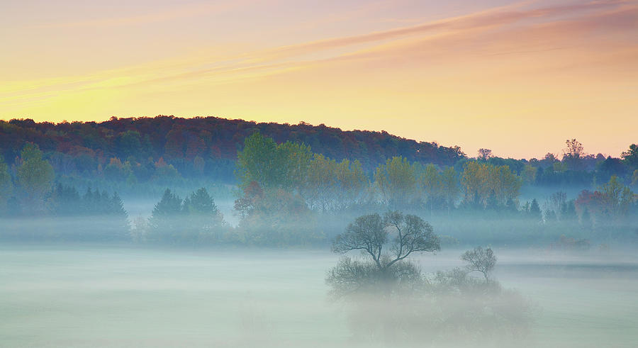 Morning Mist Photograph by Henry@scenicfoto.com