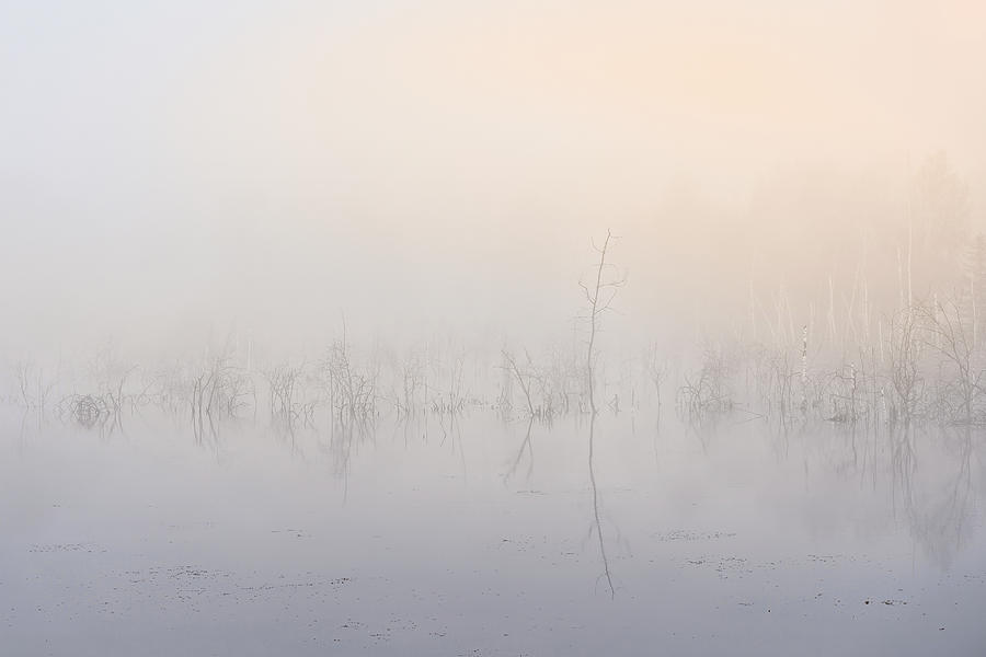 Morning Mist In The Moss In Weilheim Photograph by Norbert L. Maier