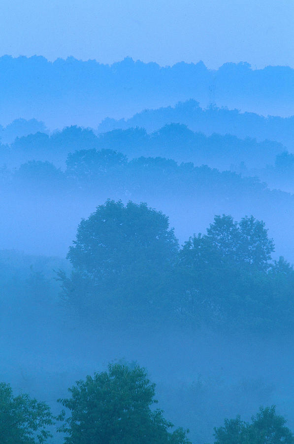Morning Mist Photograph by Michael Lustbader