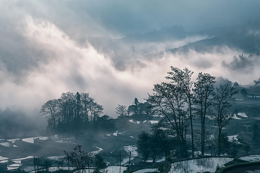 Tree Photograph - Morning Mist Of Mountain Village by ???