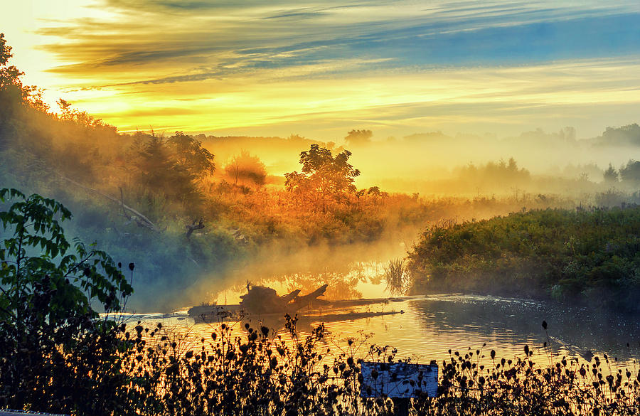 Nature Photograph - Morning River Mist by Robert Alsop