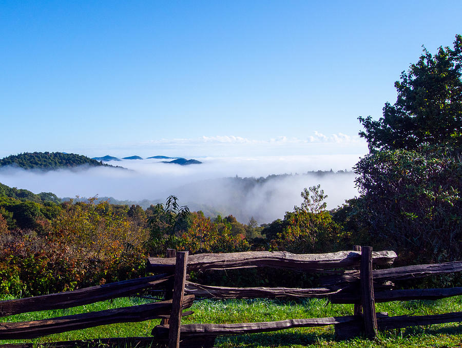 Morning Mist Over Graveyard Fields Along the Blue Ridge Parkway Photograph by L Bosco