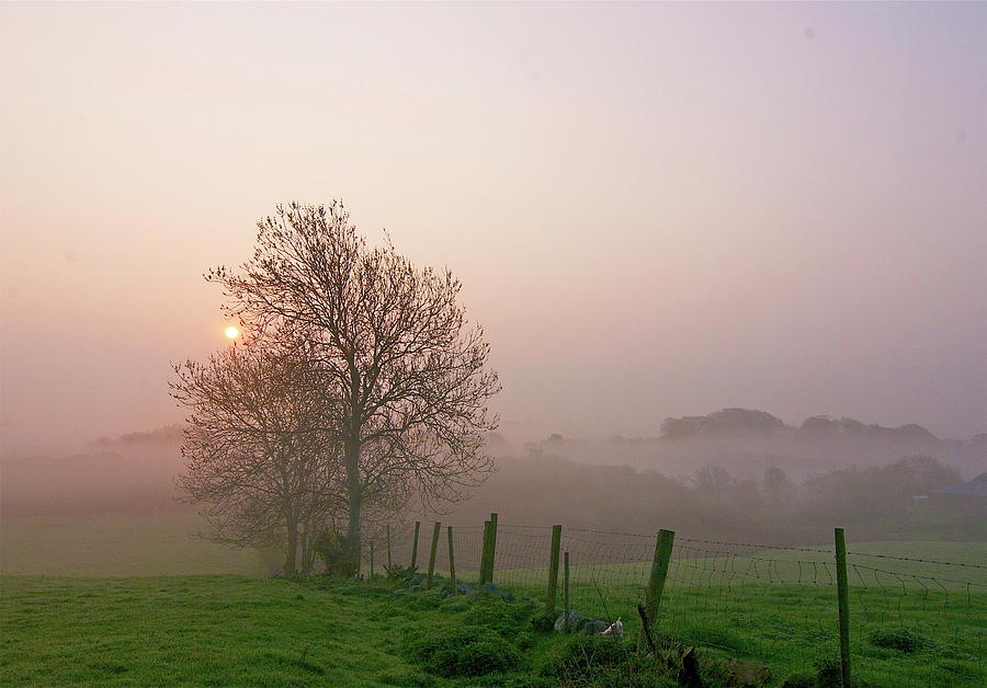 Morning Mist Photograph by //tom O Hare// Images//