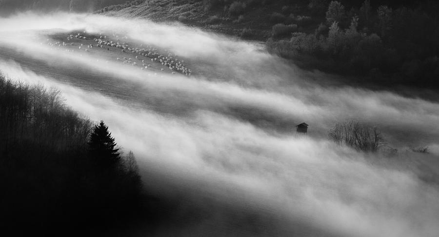Morning Misty Flood Photograph by Peter Svoboda