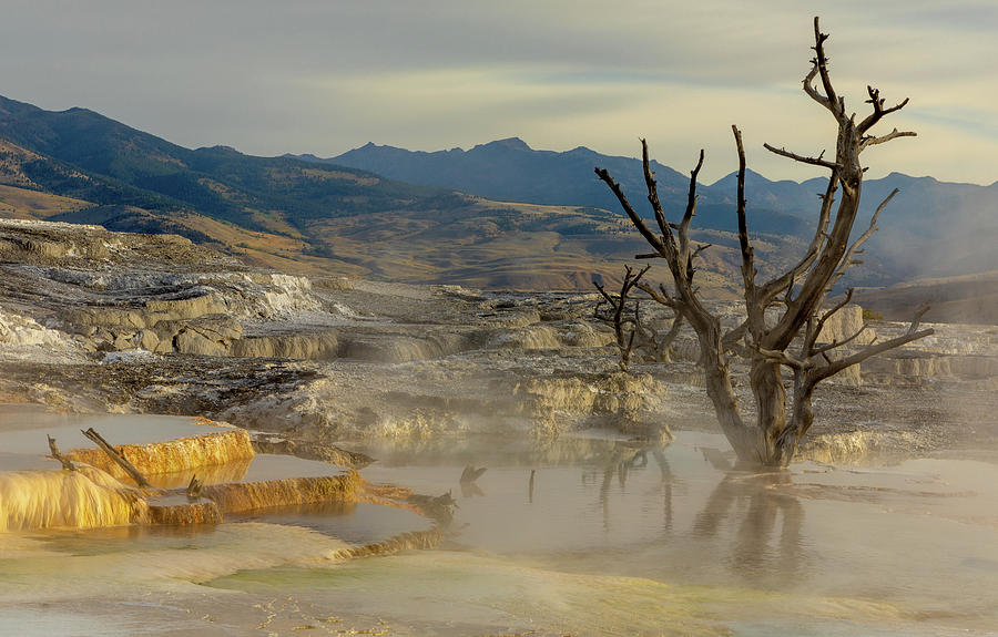 Morning Mood - Mammoth Hot Springs Photograph by Stephen Stookey