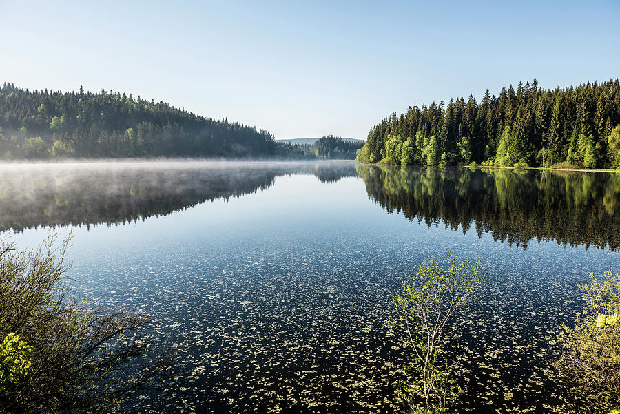 Morning Mood With Ground Fog, Windgfllweiher, At Titisee, Black Forest, Baden-wurttemberg, Germany Photograph by Daniel Schoenen Fotografie