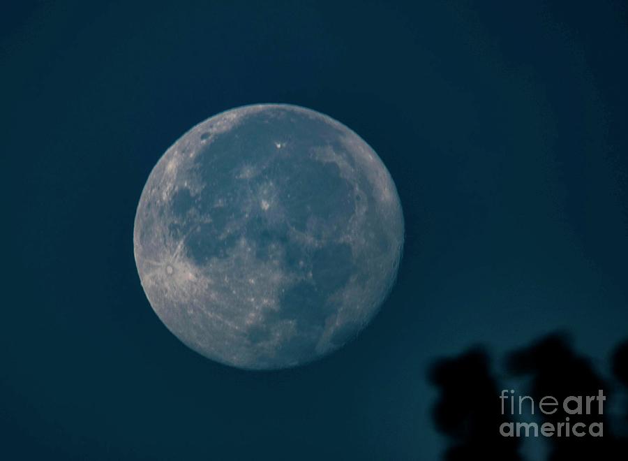 Morning Moon Photograph by David Bearden