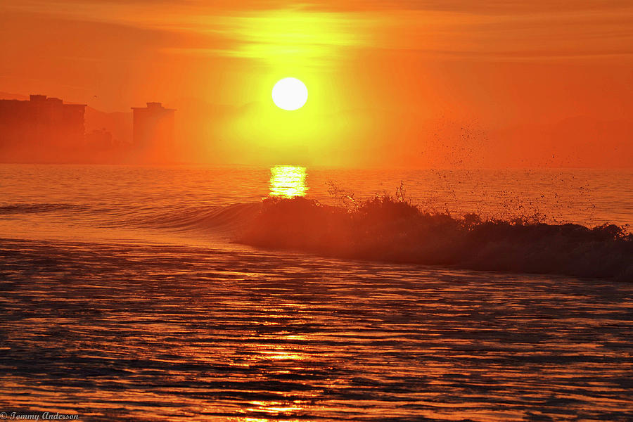 Morning on Coronado Island Photograph by Tommy Anderson