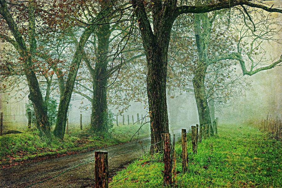Fall Painting - Morning On Sparks Lane Iv by Danny Head