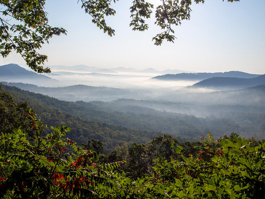 Morning on the Blueridge Parkway Photograph by L Bosco