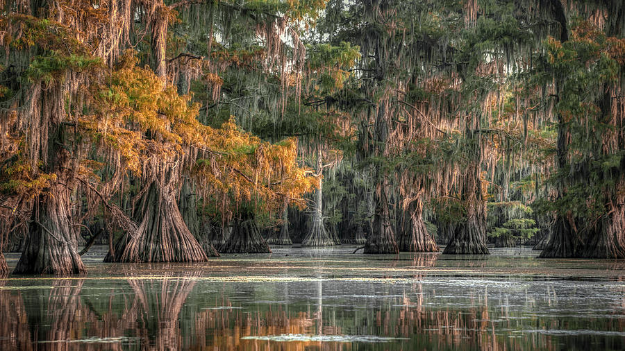 Morning Playground Photograph by Robert Miller - Fine Art America