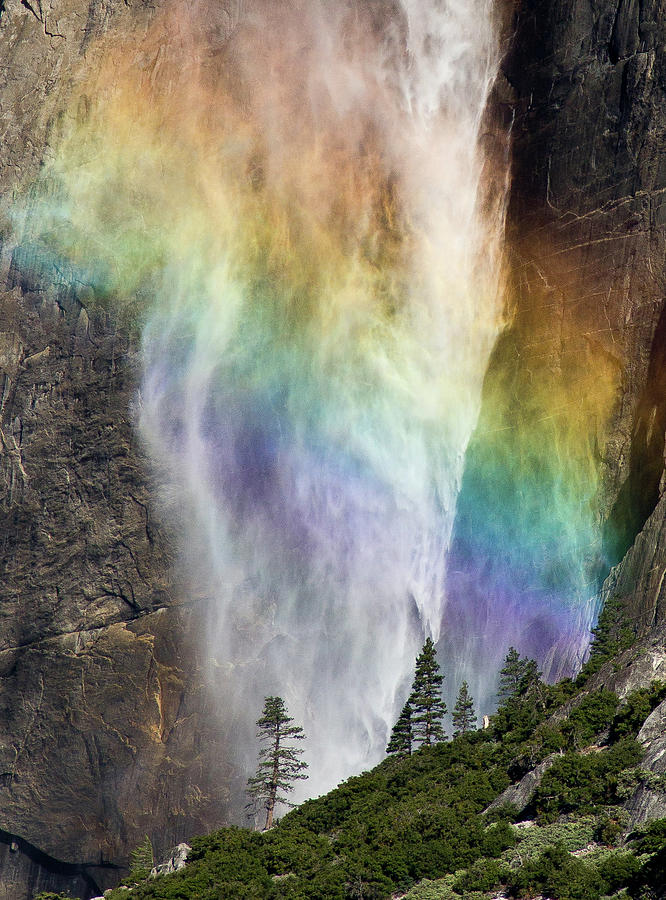 Morning Rainbow On Yosemite Fall by Kristal Leonard Photography